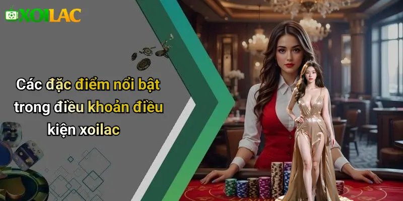 Các đặc điểm nổi bật trong điều khoản điều kiện xoilac