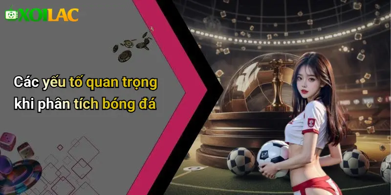 Các yếu tố quan trọng khi phân tích bóng đá