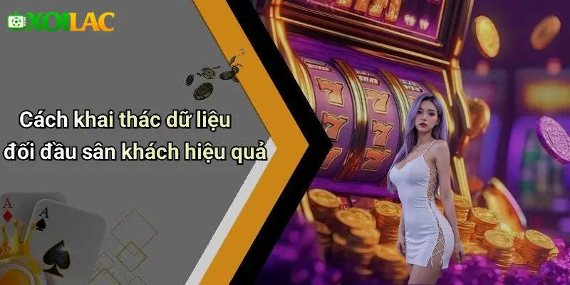 Cách khai thác dữ liệu đối đầu sân khách hiệu quả