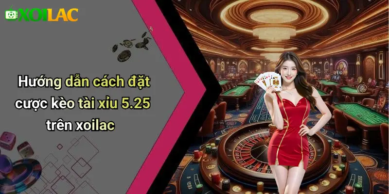 Hướng dẫn cách đặt cược kèo tài xỉu 5.25 trên xoilac