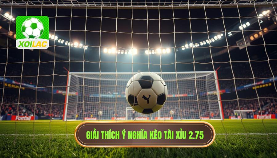 Giải thích chi tiết: Kèo tài xỉu 2.75 có ý nghĩa gì?