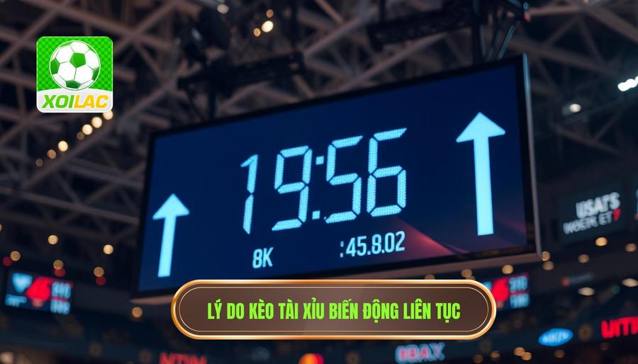 Những lý do chính giải thích vì sao kèo tài xỉu thay đổi liên tục