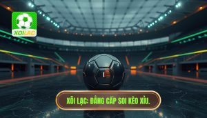 Bí quyết nhận diện những trận đấu dễ về xỉu nhất chính xác 100%