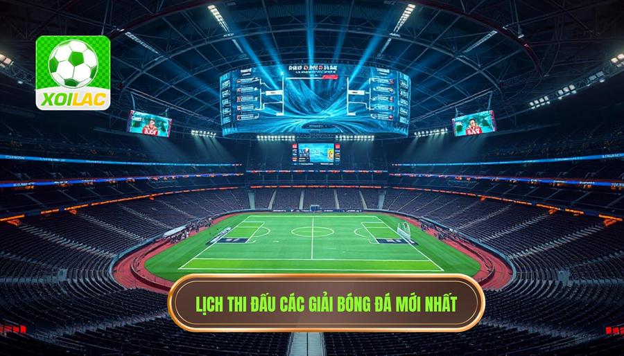 Lịch thi đấu và các giải đấu được quan tâm nhất
